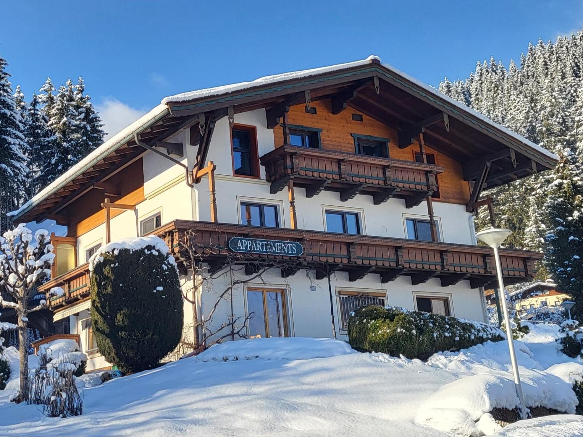 Апартаменти Am Waldrand 252 Нойкірхен-ам-Гросфенедігер Екстер'єр фото